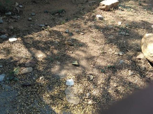 Flat for sale in Haidarabad, Telangana