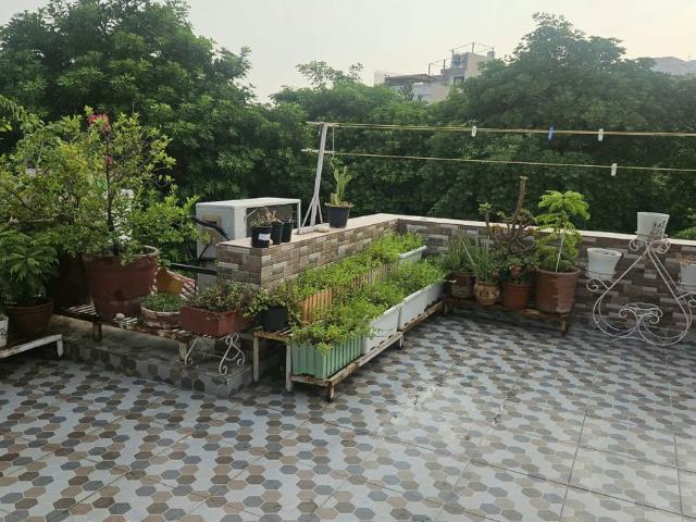 Property for sale in South City II, Gurugram