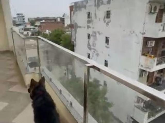 Flat for sale in Seekri, Faridabad