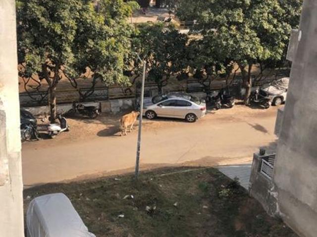House for sale in Baronjian, Sahibzada Ajit Singh Nagar