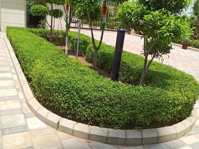 Flat for sale in Hariana