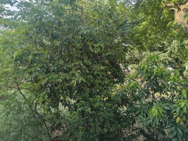 Flat for sale in Kamla Nagar, Delhi