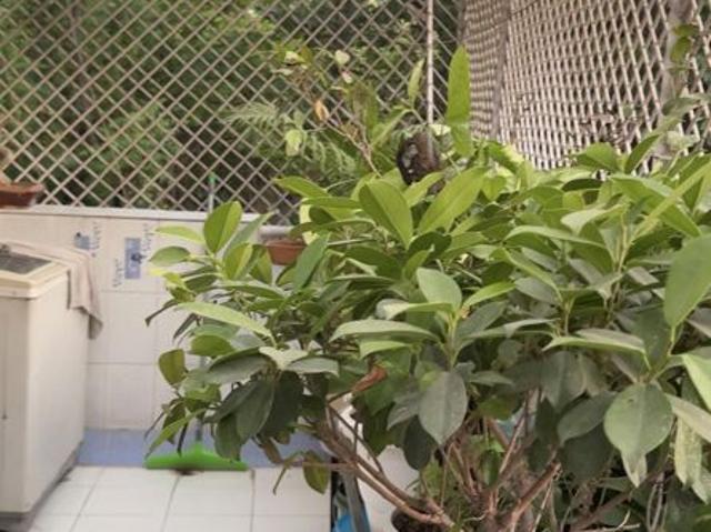 Flat for sale in Mahavir Enclave, Delhi