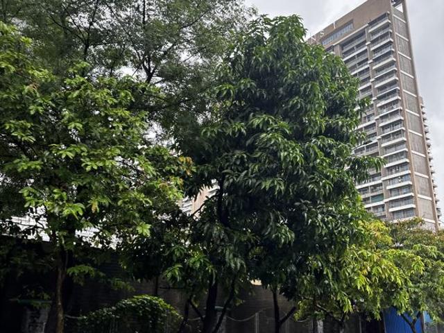 Flat for sale in Kharghar, Panvel