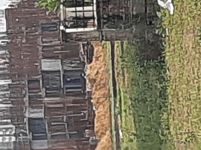 Flat for sale in Greenopolis, Gurugram