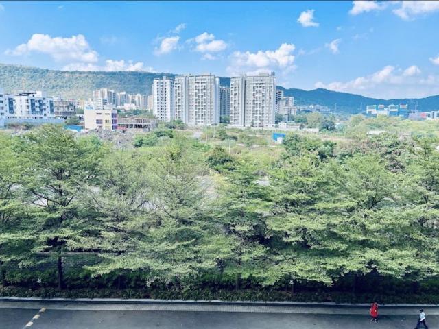 Flat for sale in Hinjawadi Phase 3, Pune