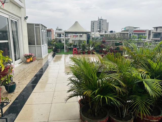 Flat for sale in Mohari, Punjab