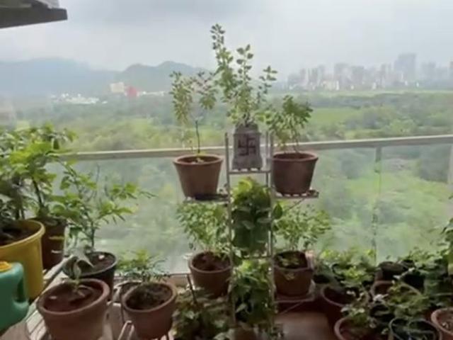 Flat for sale in Kharghar, Panvel