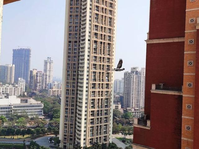 Flat for sale in Lal Baug, Mumbai City District