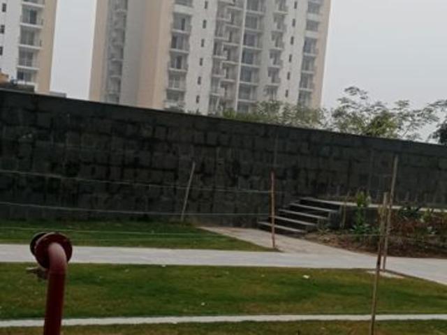 Flat for sale in Momnathal, Noida
