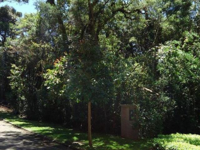 Terreno venda em Região Geográfica Imediata de Caxias do Sul, Canela