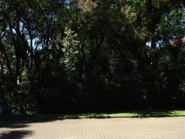 Terreno venda em Região Geográfica Imediata de Caxias do Sul, Canela