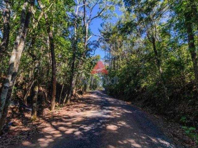 Terreno venda em Região Geográfica Imediata de Porto Alegre, Região Metropolitana de Porto Alegre