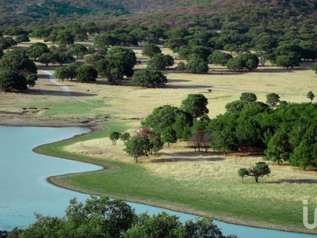 Terreno en Venta en La Sierra del Laurel Calvillo, Aguascalientes