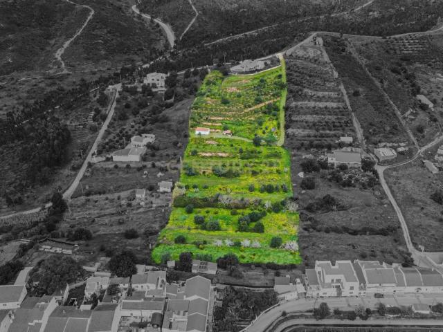 Quinta venda em Silves, Faro