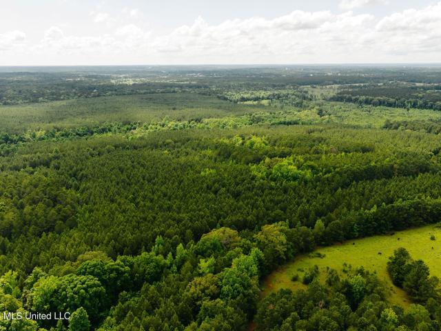 Land for sale in Philadelphia, Mississippi