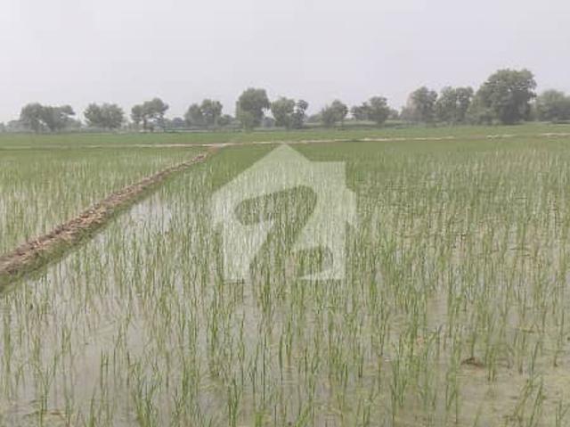 Land for sale in Burewala, Islamabad Capital Territory