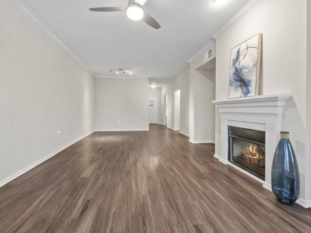 Apartment for rent in Dallas, Texas