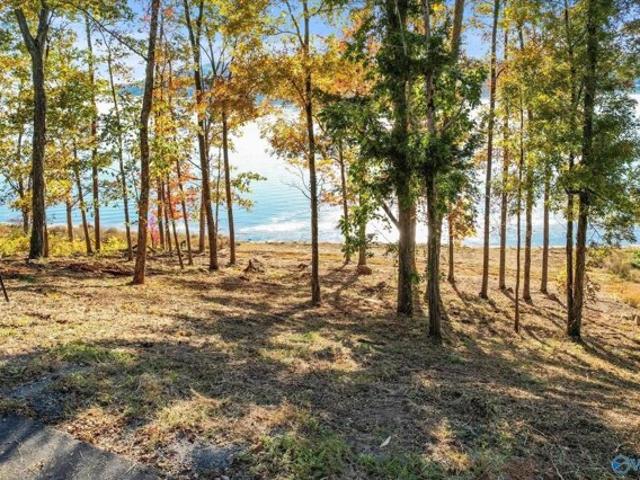 Land for sale in Guntersville, Alabama