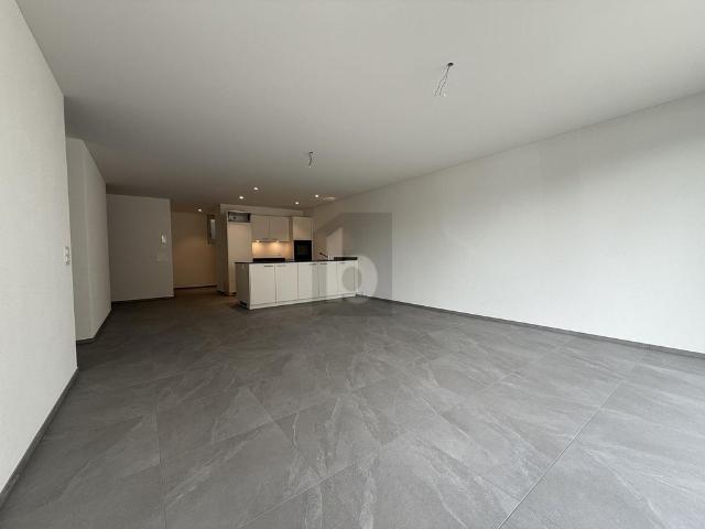 Apartment mieten in Oberflachs, Schinznach
