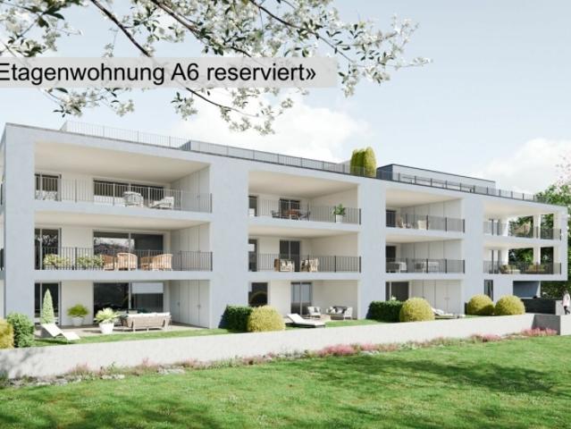 Wohnung kaufen in Villmergen, Aargau