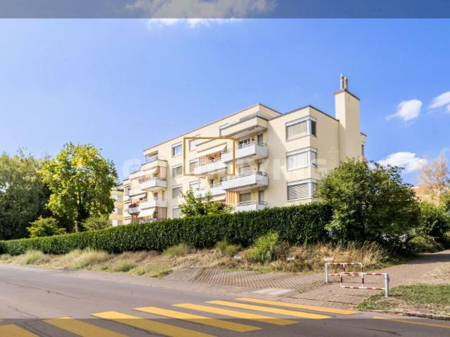 Wohnung kaufen in Rigi-Park, Steinhausen