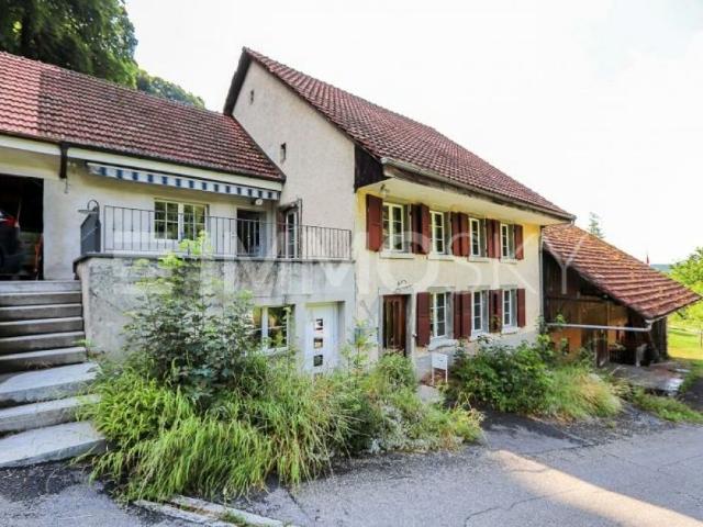 Bauernhaus kaufen in Kienberg, Solothurn