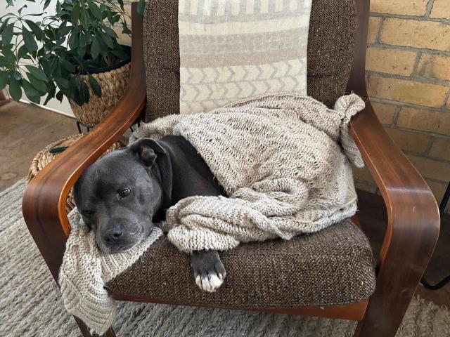 Room for rent in Camerons Creek, Victoria