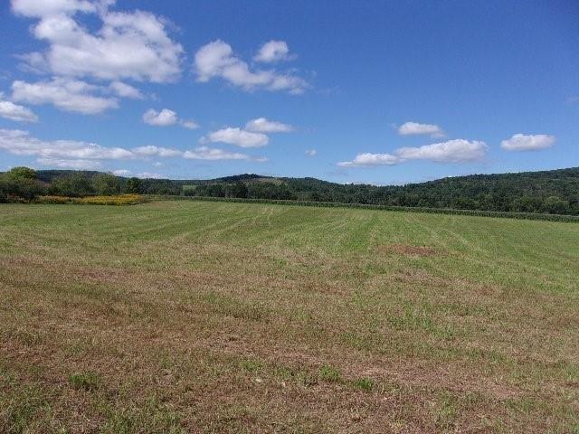 Land for sale in Candor, New York