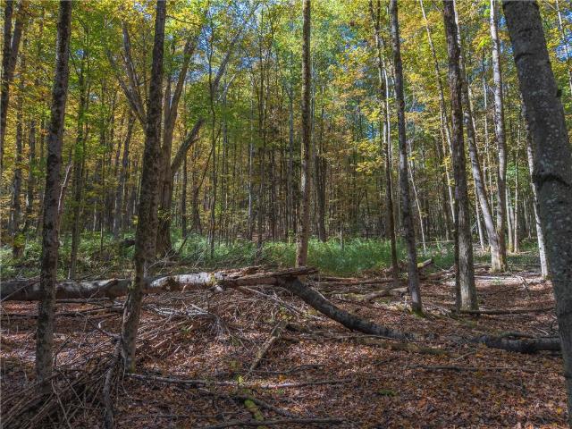 Land for sale in Plymouth, New York