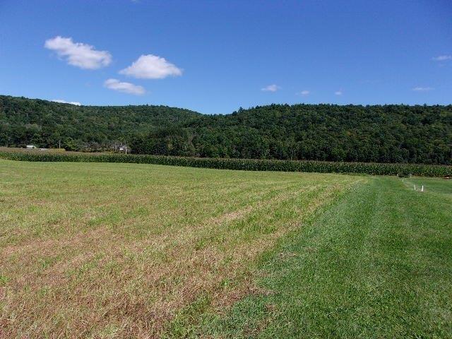 Farm for sale in Village of Candor, Town of Candor