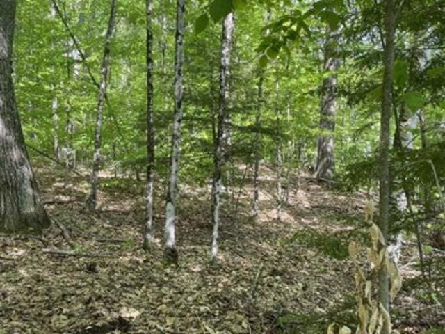 Land for sale in New Hampshire