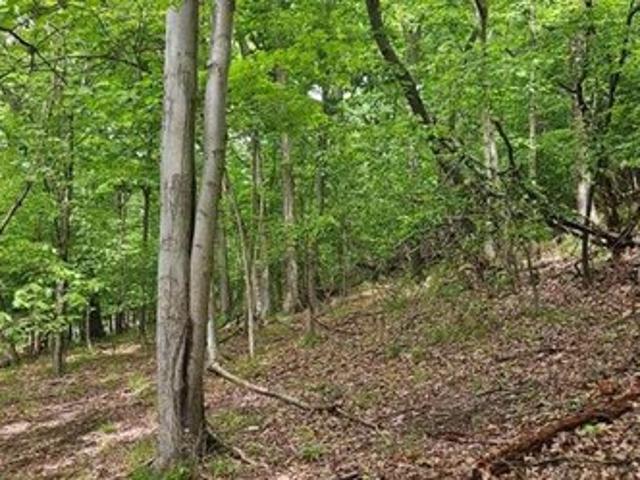 Land for sale in Saltsburg, Pennsylvania