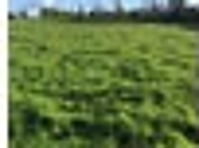 Land for sale in Waihi, Waikato