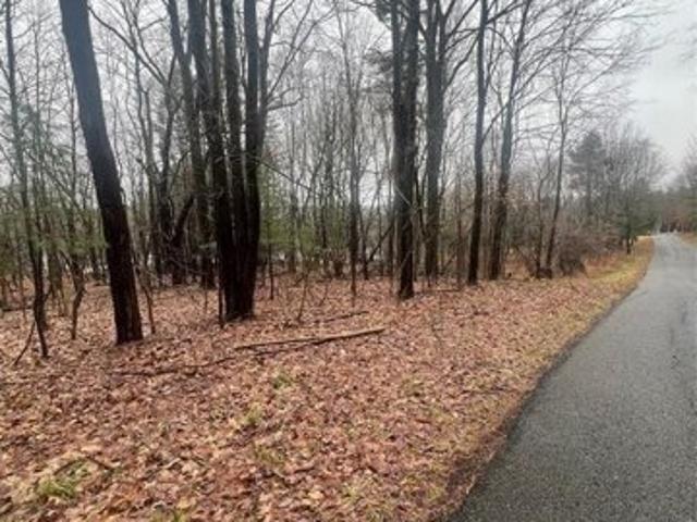 Land for sale in Binghamton Land for sale in Binghamton
