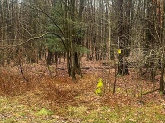 Land for sale in Binghamton Land for sale in Binghamton