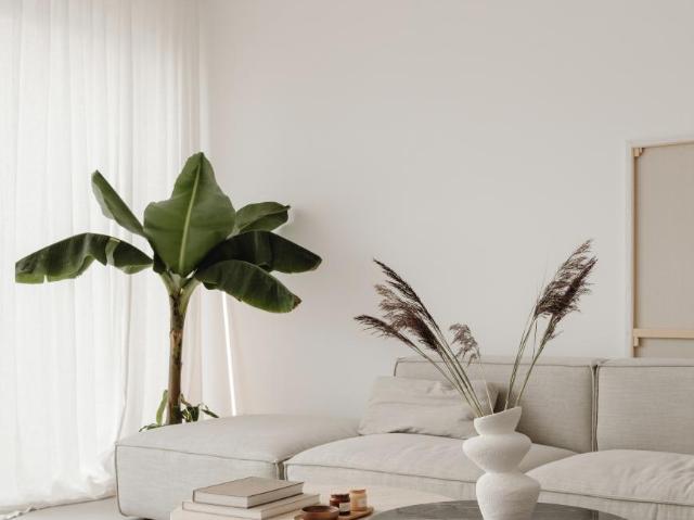 Appartement vente à Toulouse, Bruguières