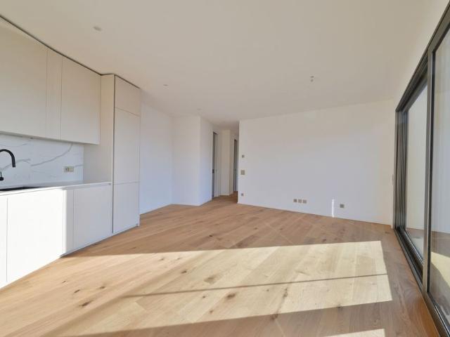 Apartment mieten in Circolo di Lugano est, Lugano