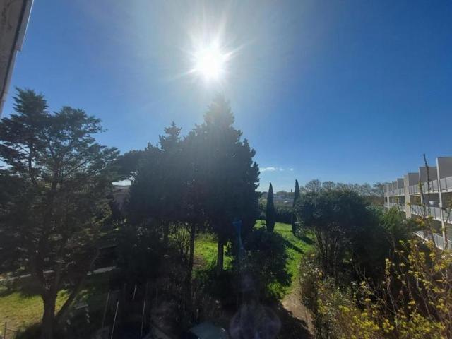 Appartement vente à Avignon