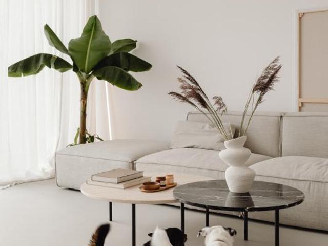 Appartement vente à Bel Air, Avignon