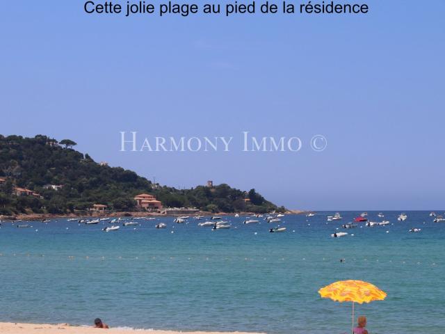 Appartement vente à Ajaccio