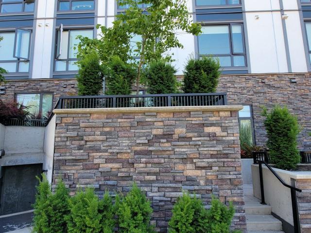 Apartment for rent in Coquitlam, British Columbia