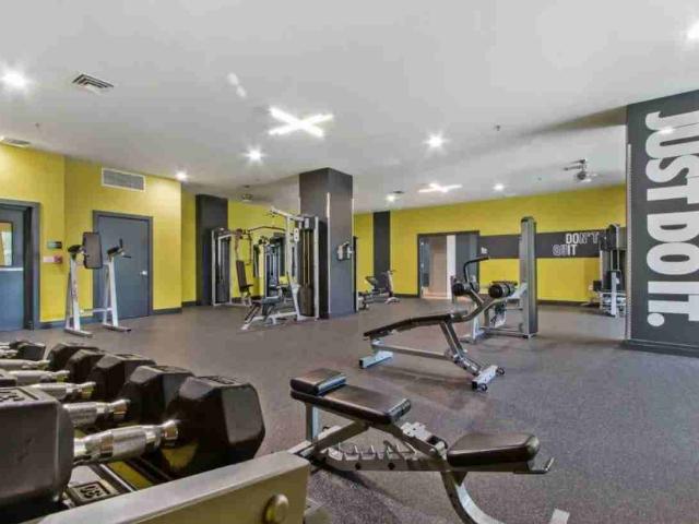 Apartment for rent in Camp Springs, Maryland