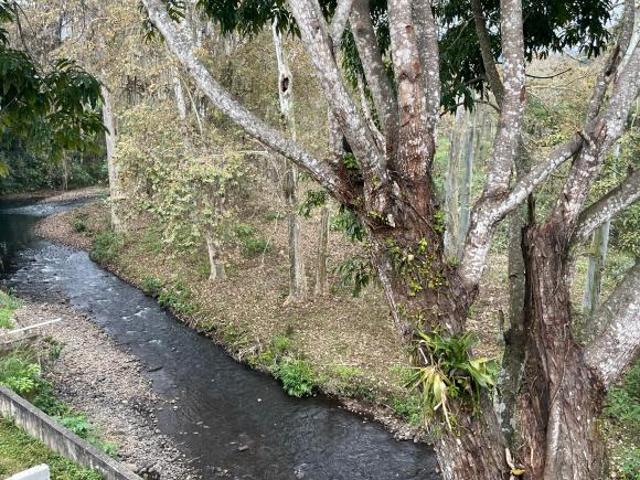 Residencia junto al río con alberca y loft independiente