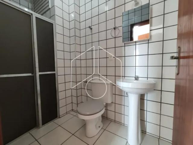 Apartamento aluguel em Região Imediata de Marília, Marília