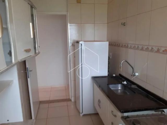 Apartamento aluguel em Região Imediata de Marília, Marília
