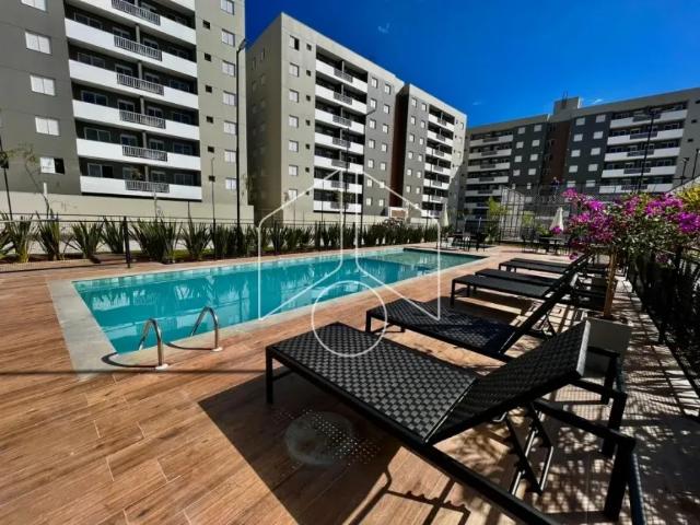 Apartamento aluguel em Região Imediata de Marília, Marília