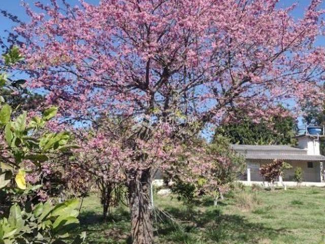 Sítio e chácara venda em Região Imediata de Sorocaba, Região Metropolitana de Sorocaba