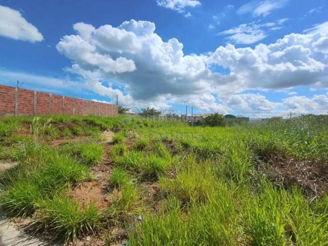 Terreno venda em Região Imediata de São José do Rio Preto, Região Metropolitana de São José do Rio Preto