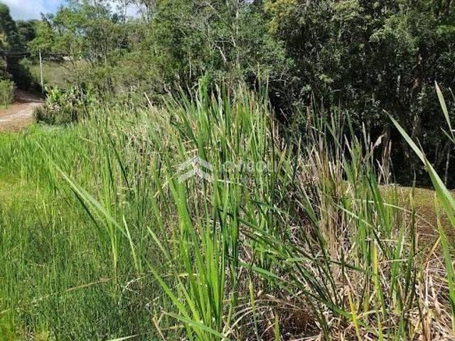 Terreno venda em Região Imediata de Sorocaba, Região Metropolitana de Sorocaba